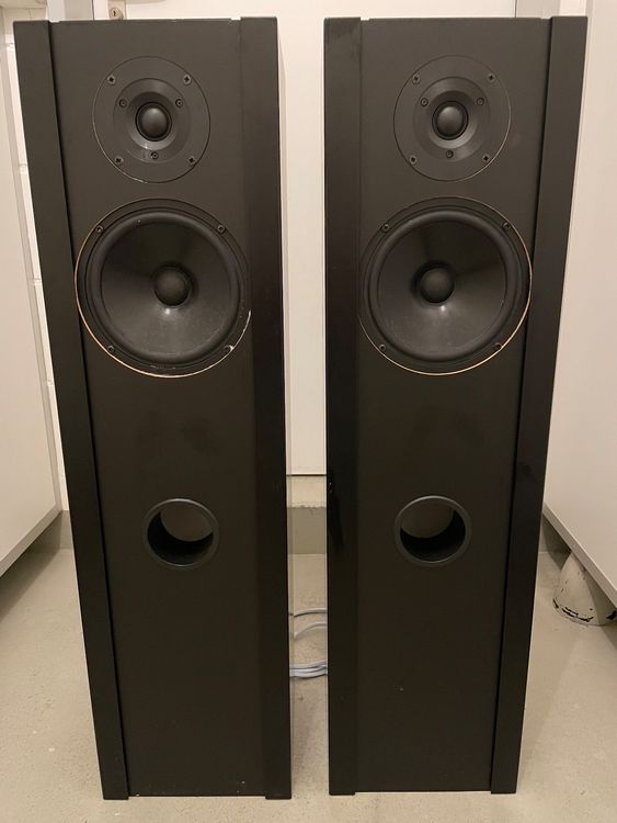 Piega LDS-1.6 Lautsprecher, schwarz